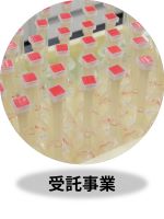 受託事業
