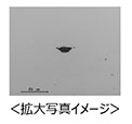 拡大写真イメージ